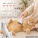  Япония Spitz собака Spitz выпадение шерсть щетка собака кошка выпадение шерсть брать . выпадение шерсть удаление домашнее животное щетка длина шерсть короткий шерсть груминг 