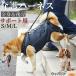 kya шероховатость a King Charles spaniel собака собака уход Harness приспособление для ходьбы все тело поддержка после для ноги пассажирский маленький размер собака средний собака . собака товары для ухода li - bili прогулка для 