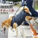 basenji- собака вид basenji- собака уход Harness приспособление для ходьбы все тело поддержка после для ноги пассажирский маленький размер собака средний собака . собака товары для ухода li - bili прогулка для 