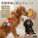 kya шероховатость a King Charles spaniel собака собака кошка для капот plate . еда . предотвращение slow механизм подачи вмятина выпуклость структура присоска имеется фиксация смещение предотвращение цветок type силикон производства 