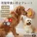lasaapso собака вид lasaapso собака кошка для капот plate . еда . предотвращение slow механизм подачи вмятина выпуклость структура присоска имеется фиксация смещение предотвращение цветок type силикон производства 