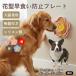  well shu Corgi кардиган собака собака кошка для капот plate . еда . предотвращение slow механизм подачи вмятина выпуклость структура присоска имеется фиксация смещение предотвращение цветок type силикон производства 