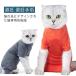[] кошка для . после одежда уход одежда . после одежда защита одежда для домашних животных домашнее животное одежда кошка . после . после надеты . после одежда кошка одежда домашнее животное товары .. рука ... опухоль кожа болезнь ..