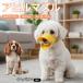kya шероховатость a King Charles spaniel собака a Hill mazru собака намордник предотвращение .. еда . кусание есть бесполезность .. силикон воспитание маленький размер собака средний собака легкий ...