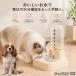 kya шероховатость a King Charles spaniel собака автоматика поилка кошка собака 500ml источник питания не необходимо беспроводной сифон тип тихий звук вода .. контейнер отсутствие номер 