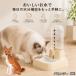 basenji- собака вид basenji- автоматика поилка кошка собака 500ml источник питания не необходимо беспроводной сифон тип тихий звук вода .. контейнер отсутствие номер 