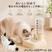 japa потребности Bob tail кошка japa Bob автоматика поилка кошка собака 500ml источник питания не необходимо беспроводной сифон тип тихий звук вода .. контейнер отсутствие номер 