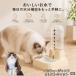 noru way Jean forest кошка кошка автоматика поилка кошка собака 500ml источник питания не необходимо беспроводной сифон тип тихий звук вода .. контейнер отсутствие номер 