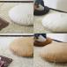 �N�b�V�����J�o�[ �ی^ 65 ���n ���a65cm �}�C�N���X�G�[�h ���{�� fabrizm �w���ăJ�o�[ ���z�c�J�o�[ �~�` ������� ���킢�� �֘A�摜1