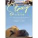 s tray собака . видел мир / документальный фильм [DVD][ возвращенный товар вид другой A]