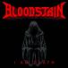  I *am*tes/b Lad stain [CD][ возвращенный товар вид другой A]