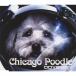 ODYSSEY/Chicago Poodle[CD][ возвращенный товар вид другой A]