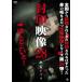 . печать изображение 28.. Appli / сердце .[DVD][ возвращенный товар вид другой A]
