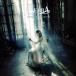 Always and Forever/SERRA[CD]ʼA