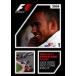 2008 FIA F1 мир игрок право сборник совершенно выпуск на японском языке / motor * спорт [DVD][ возвращенный товар вид другой A]