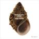 [ листов число ограничение ]TROPICAL LOVE LIGHTS/ Denki Groove [CD][ возвращенный товар вид другой A]