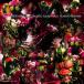 仮面ライダーアマゾンズ オリジナルサウンドトラック/ハイ島邦明[CD]【返品種別A】
