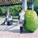  дуриан подросток ( обычный запись /Type-C)/NMB48[CD+DVD][ возвращенный товар вид другой A]