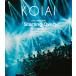 [ листов число ограничение ][ ограниченая версия ]KOIAI LIVE TOUR 2026[Starting Over]in TOKYO -HEAVY KAWAII FES 2026-( первый раз ограничение запись )/KOIAI[Blu-ray][ возвращенный товар вид другой A]