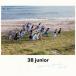 [][]3B junior եȡХ 2016ڽס/3B junior[CD+Blu-ray]ʼA