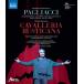  Leon kavaro:..{ дорога ..}/ masker ni:..{kavare задний *rus TIKKA -na}/ro Len tso* vi Otti [Blu-ray][ возвращенный товар вид другой A]