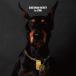 1st SONG/DOBERMAN INFINITY[CD] обычный запись [ возвращенный товар вид другой A]