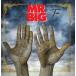 TEN (JAPAN EDITION)[SACD][ foreign record ]V/MR.BIG[HybridCD][ returned goods kind another A]