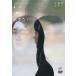  мой .. нет вы относительно / Sasaki есть .[DVD][ возвращенный товар вид другой A]