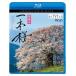 bi com Relaxes BD японский 1 шт Sakura 4K фотосъемка произведение /BGV[Blu-ray][ возвращенный товар вид другой A]