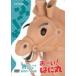 ������!�Ϥ˴� �Ҥ�٤�BOX(DVD-BOX ����)/�Ҷ�����[DVD]�����ʼ���A��