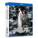 STEINS;GATE Complete Blu-ray BOX стандартный выпуск / анимация [Blu-ray][ возвращенный товар вид другой A]