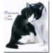  кошка. ..~ кошка .....10.3.. маленький товар ~/ сборник ( Classic )[CD][ возвращенный товар вид другой A]