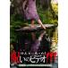 ho... был!... видео 111/ сердце .[DVD][ возвращенный товар вид другой A]