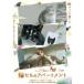  кошка ... апартаменты men to/ документальный фильм [DVD][ возвращенный товар вид другой A]