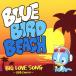 BIG LOVE SONG 〜BBC Covers〜/BLUE BIRD BEACH[CD]【返品種別A】