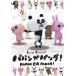 pa хлеб . Panda!/ ребенок предназначенный [DVD][ возвращенный товар вид другой A]