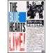  The * Blue Hearts Live 1987.7.4 день соотношение .. звук 1988.2.12 Япония будо павильон / The * Blue Hearts [DVD][ возвращенный товар вид другой A]