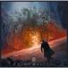 CHAOS CONTROL/CHAOS CONTROL[CD][ возвращенный товар вид другой A]