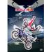 Red Bull X-Fighters World Tour 2013 Official DVD/ motor * спорт [DVD][ возвращенный товар вид другой A]