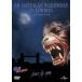 . мужчина american / David * Norton [DVD][ возвращенный товар вид другой A]