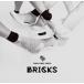 BRICKS/There There Theres[CD][ returned goods kind another A]