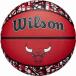 Wilson( Wilson ) NBA TEAM GRAFFITI баскетбол CHI BULLS( Raver ) 7 номер лампочка ( красный ) возвращенный товар вид другой A