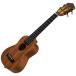 S.Yairi( Yairi ) сопрано укулеле ( длинный шея модель ) Ukulele Series YU-SL-13MAS возвращенный товар вид другой A