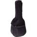 KC акустическая гитара для gig сумка Kyoritsu Corporation CW-100 возвращенный товар вид другой A