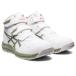 �A�V�b�N�X �E�B���W���u CP216 �z���C�g�~���C�P���O���[�� 25.5cm (���S�C)(JSAA�K�iA��F��i) 1273A076.100-25.5 �ԕi���B
