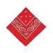 BACKYARD FAMILY( задний ярд Family ) PAISLEY BANDANNA(RED) возвращенный товар вид другой A
