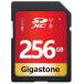 Gigastonel Giga Stone SDXC карта памяти 256GB Class10 UHS-I V10 GJSXR-256GU1-RED возвращенный товар вид другой B