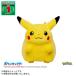  Takara Tommy Pokemon 30 anniversary commemoration ....! Пикачу 1/ 1 возвращенный товар вид другой B