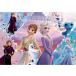  тонн yo- Disney Princess ... составная картинка .... поэтому ..( дыра . снег. женщина .2) 70 деталь (DK-70-367) составная картинка возвращенный товар вид другой B