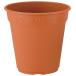 ro там pot 180 type ( Brown ) Apple одежда - возвращенный товар вид другой A